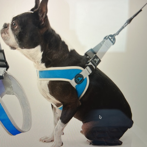 Avalanche Dog New Easy Dog Harness Poshmark
